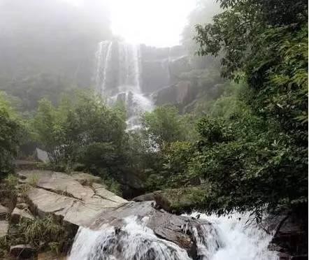 雪开始下了！郑州启动低温雨雪冰冻灾害Ⅳ级应急响应